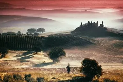 PlantaÃ§Ã£o jigsaw puzzle