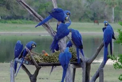 No Name jigsaw puzzle