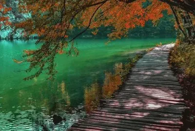 *-*
