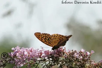 PostavneÅ¾ jigsaw puzzle