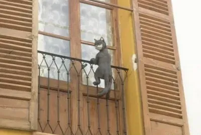 Â¿ es un gato real o no ? jigsaw puzzle