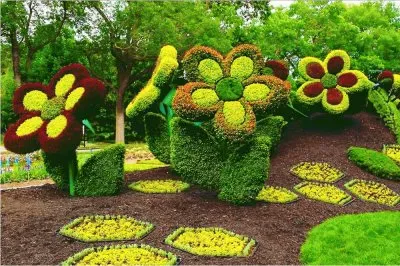 71 jigsaw puzzle