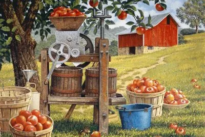 Cider time by Sandra McArdle jigsaw puzzle