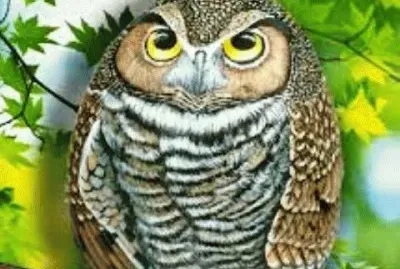 civette jigsaw puzzle