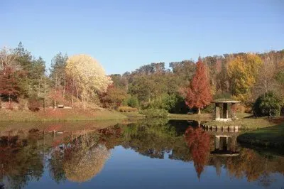 פאזל של NÂº 254