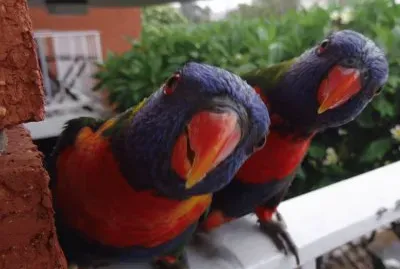 No Name jigsaw puzzle