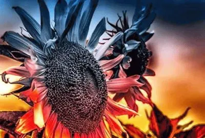 Â³Â£ jigsaw puzzle