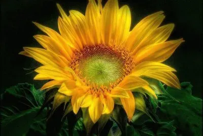 Â³Â£ jigsaw puzzle