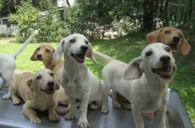 è‡˜è…¸ä¸€å®¶