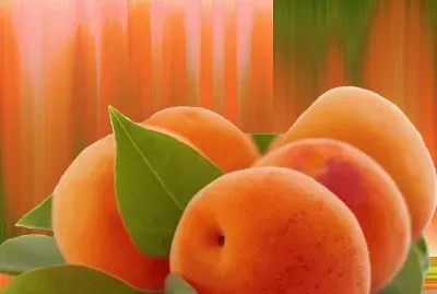 abricots