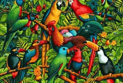 Birds jigsaw puzzle