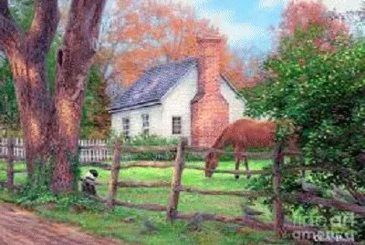 horse