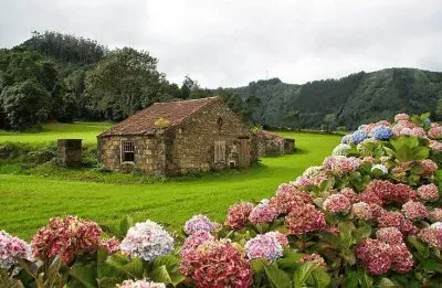 casinha jigsaw puzzle