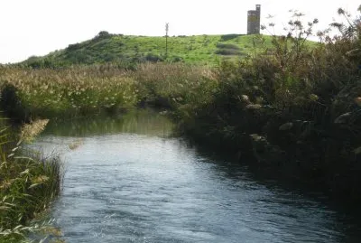 פאזל של Hakibbutzim spring