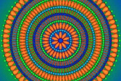 mandala 81 jigsaw puzzle