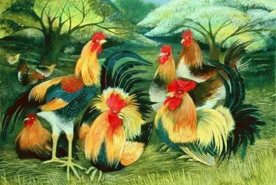 Rooster reunion
