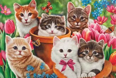 gatinhos jigsaw puzzle