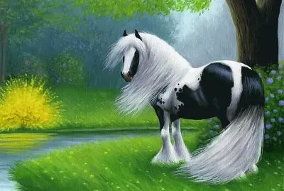 cavalos