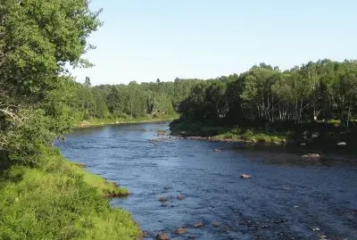 Northwest branch Miramichi River jigsaw puzzle