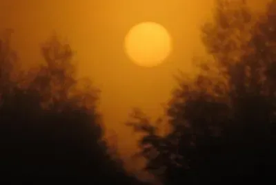 Early October sunrise in backyard