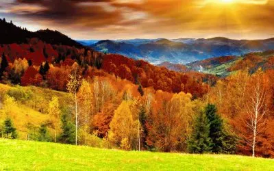 Colored Autumn jigsaw puzzle