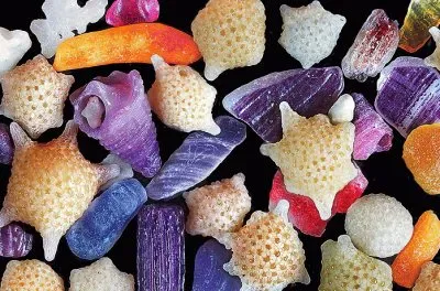 016å¹¾ä½•éœç‰©
