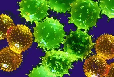 018å¹¾ä½•éœç‰©