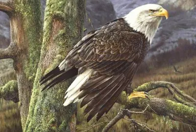 Pintura jigsaw puzzle