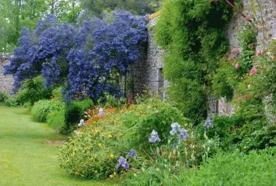 פאזל של Jardim