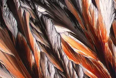 021å¹¾ä½•éœç‰©