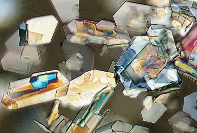 024å¹¾ä½•éœç‰©