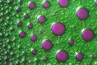 025å¹¾ä½•éœç‰©