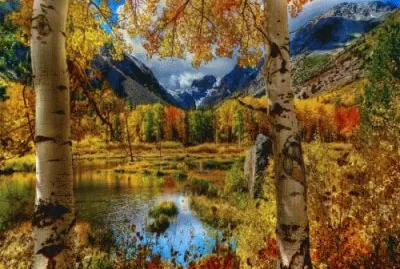 oct21 jigsaw puzzle