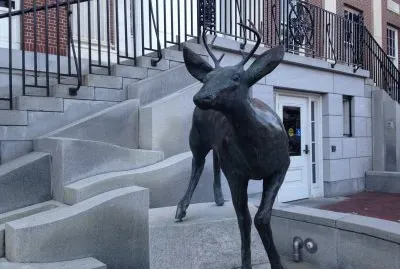 Burlington Vermont Courthouse