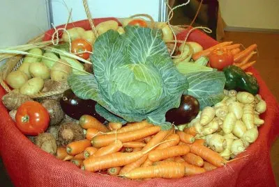 verdures jigsaw puzzle