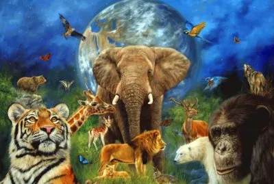 Animals of the World