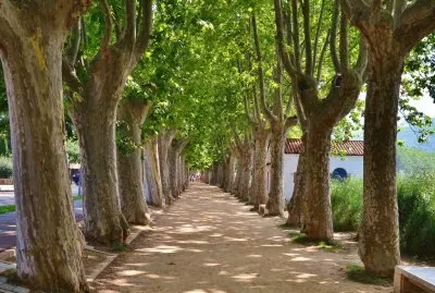 Estany de Banyoles