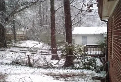 Snow scene