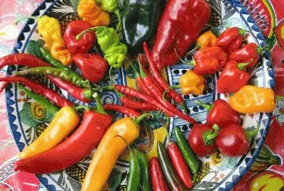 FaraÃ³n jigsaw puzzle