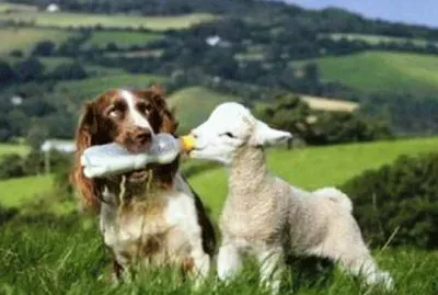 mom #161 jigsaw puzzle