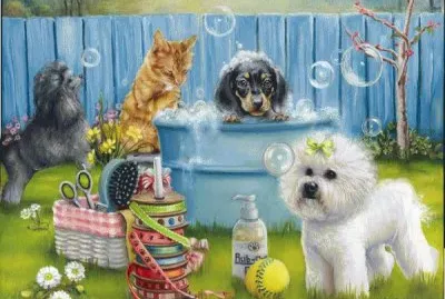 Cleaning Day for Animals