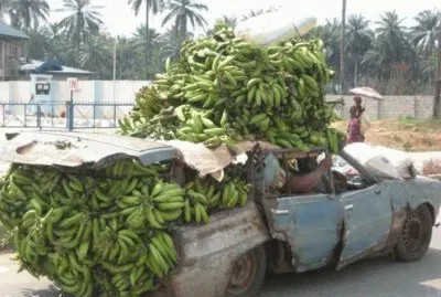 Banana transportation in Africa