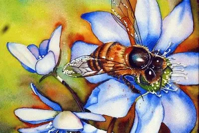 Purple Flower with Honeybee