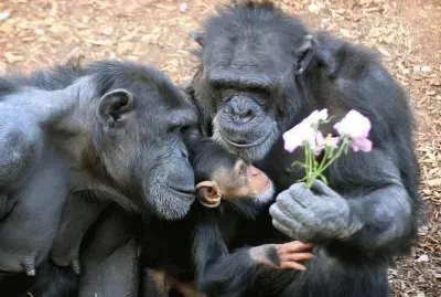Proud Parents with Baby
