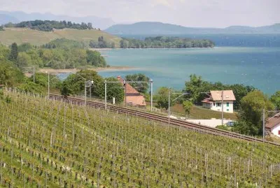 Lac NeuchÃ¢tel jigsaw puzzle