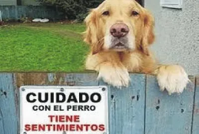 Â¡CUIDADO CON EL PERRO!