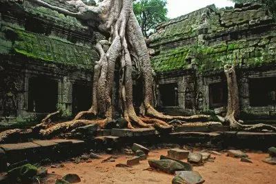 FaraÃ³n jigsaw puzzle