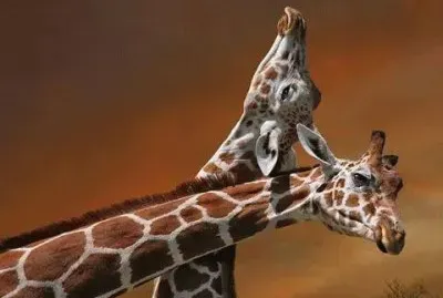 x jigsaw puzzle