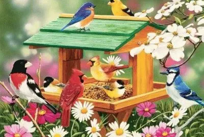 Birds