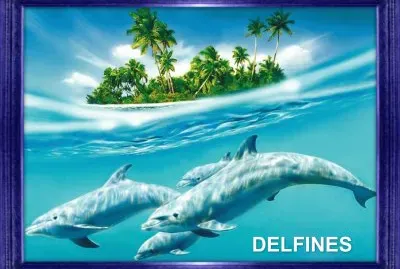 PROYECTO DE ANIMALES